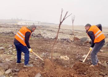 Şaredariya Peyasê ji bo qadên hêşîn xebatê dike