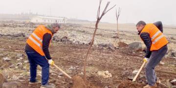 Şaredariya Peyasê ji bo qadên hêşîn xebatê dike