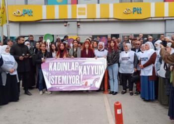 Cinî: Qeyûm xesp o, meşrû nîyo