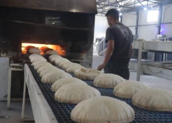 38 ton ard firnanê Reqayî de zêde bîyê