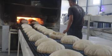 38 ton ard firnanê Reqayî de zêde bîyê