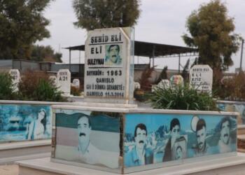 Destanêko îstîsna nusenê