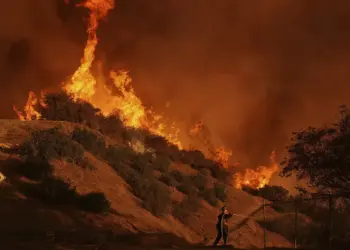 Şewata li Los Angeles didome: Hejmara miriyan gihişt 24 kesan