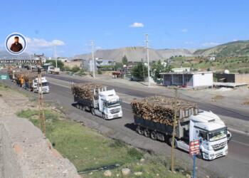 Erdnîgariya Şirnexê bi talankirina daran, lêgerîna madenê û çêkirina bendavan tê tunekirin