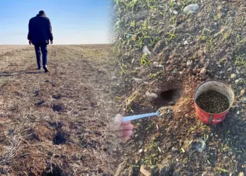 Amed de îstîlaya merreyî destpê kerd