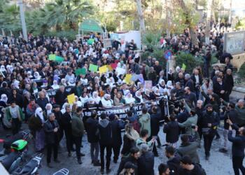 Meşê ver bi sînorê Qamişloyî destpê kerd