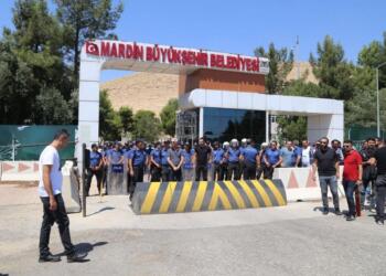 9 şaredarîyan rê qeyûm tayîn bî, 7 hebê înan yê DEM Partî yê