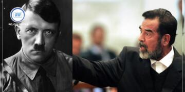 Dawiya Meşa Napolyon