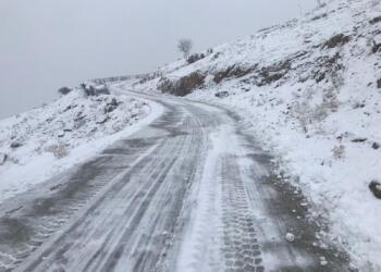 Ekîbê Şaredarîya Amedî dewan de vera vewre têkoşenê