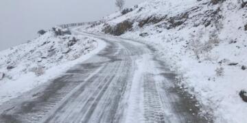 Ekîbê Şaredarîya Amedî dewan de vera vewre têkoşenê