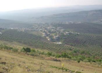 Komên paramîlîter bi dehan kurd revandin