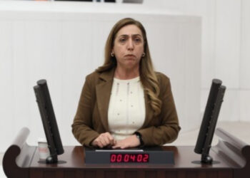 Salîha Aydenîz: Ziwanê dayîke heq o, lutuf nîyo