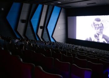 Aktîvîteyanê Roja Ziwanê Dayîke ya Dinya bi fîlman dest pêkerd