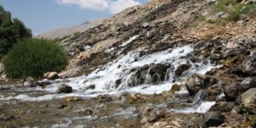 Çimeyê Munzurî reyna sey Cayê Sît yê Dereca 1. ameyê îlankerdene