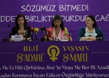 Rêveberiya Herêmî ya DEM Partiyê starta 8ê Adarê dide