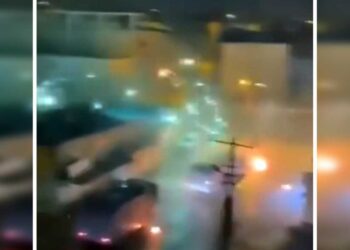 Ciwanan taxa Xaçortî kerd qada şerî