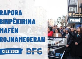 Rapora DFGê ya meha Çile: 9 rojnameger hatin girtin