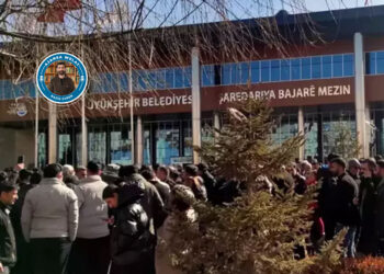 Li Wanê pêvajoyên desteserkirina şaredariyê