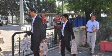 Parêzer ji bo biçin Îmraliyê serî li dozgeriyê dan