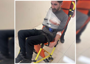 Polîsan milê endamê DBPê Kenan Îldenîz şikand