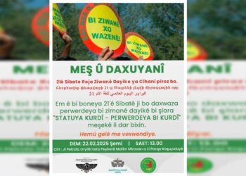 Sazîyanê ziwanî ra çalakîya meşî