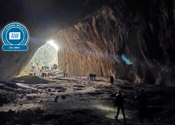 Şikeftê ‘Peynîya Dinya’: Birkleyn