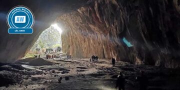 Şikeftê ‘Peynîya Dinya’: Birkleyn