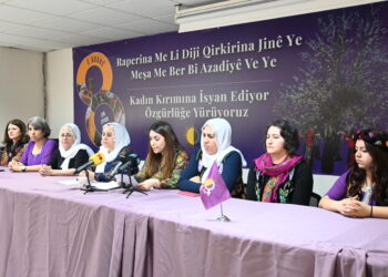 TJA: Ma verba qirkerdişê cinîyan de serî hawanenê