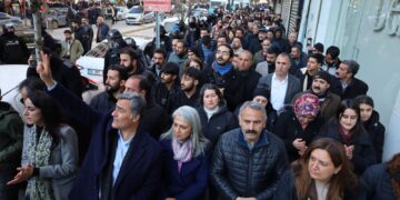 Li dijî qeyûm meşek girseyî hat lidarxistin