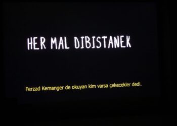 Her malek dibistanek