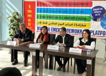 ‘Zarok di zikê dayikê de fêrî 900 peyvî dibe’