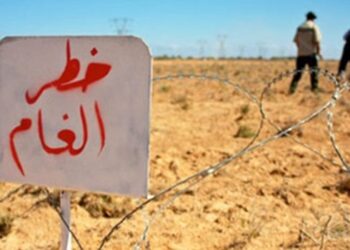 Di 24 saetan de 13 kes hatin kuştin