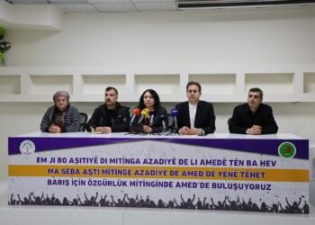 Li Amedê banga beşdariya mitînga ‘Aştî û Azadiyê’ hat kirin