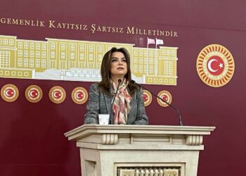 Şandeya DEM Partiyê dê biçe Îmraliyê