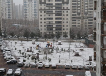 Amed de vewre varena