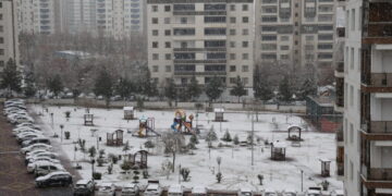 Amed de vewre varena