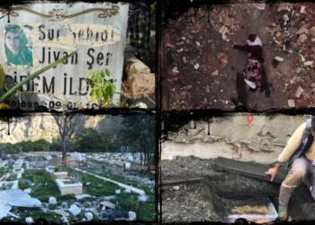 Di 10 salan de 147 hezar gor hatine rûxandin