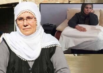 6 serrê û 3 aşmê cezaya hepsî dayê Halîse Aksoy