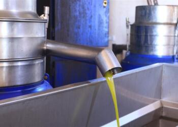 Ji bo debarê kargeha yekemîn a zeytê vekirin