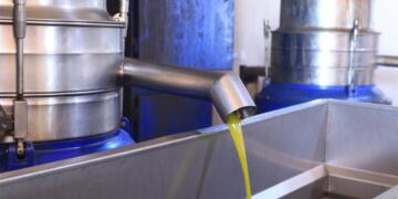 Ji bo debarê kargeha yekemîn a zeytê vekirin