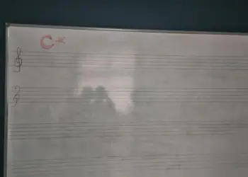 Polîsan texteya Jîn Artî ser o alaya Tirkî xêz kerd