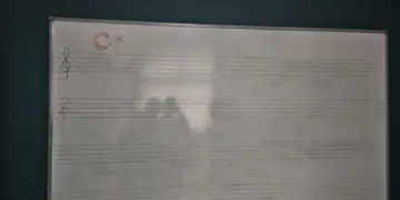 Polîsan texteya Jîn Artî ser o alaya Tirkî xêz kerd