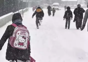 Semedê vewre ra zaf cayan de perwerdeyî nêbî ya