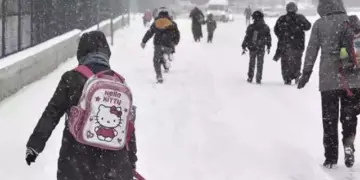 Semedê vewre ra zaf cayan de perwerdeyî nêbî ya