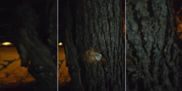 Bi guleyan êrişî mala Hevserokê DEM Partiya Sêgirkê kirin