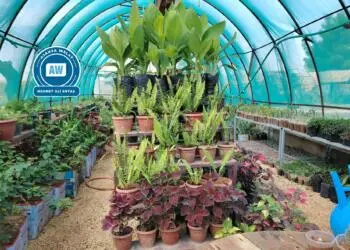 ‘Her malek û darek’