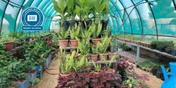 ‘Her malek û darek’