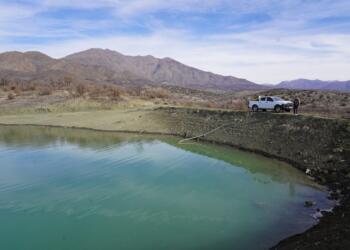 Pasûr de semedê heywanan golêke newî