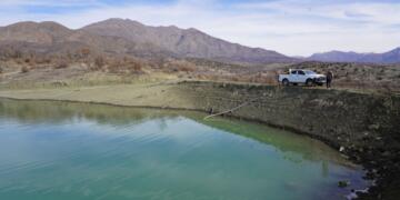 Pasûr de semedê heywanan golêke newî