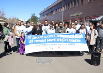 Platforma Tenduristiyê: Bê zimanê dayikê tenduristî nabe